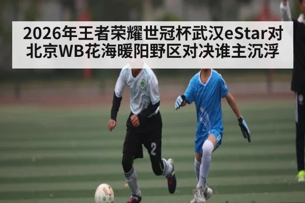 2026年王者荣耀世冠杯武汉eStar对北京WB花海暖阳野区对决谁主沉浮 - Kaiyun sports